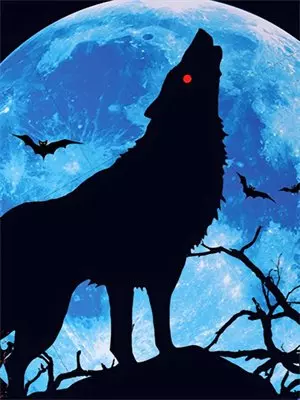 半夜走阴路，道长开保时捷要抓我回去双修沈清舟开保时捷热门小说免费阅读_网络热门小说半夜走阴路，道长开保时捷要抓我回去双修(沈清舟开保时捷)