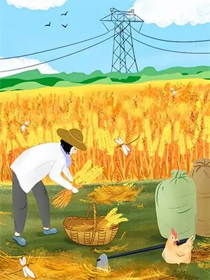 婚礼变葬礼，我让死去的白月光，彻底身败名裂苏晴夏悠薇热门小说完结_热门的小说婚礼变葬礼，我让死去的白月光，彻底身败名裂苏晴夏悠薇